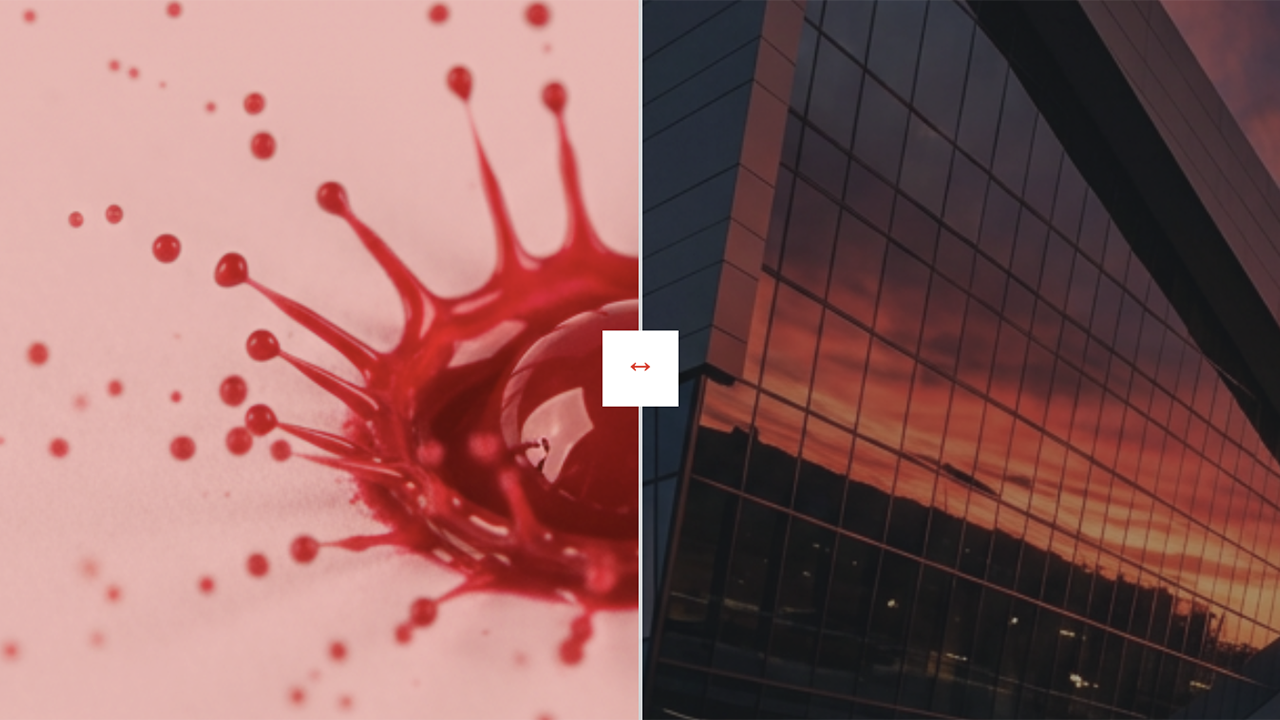 The Brand Map: Do You Actually Need a Logo… or a Complete Brand System?